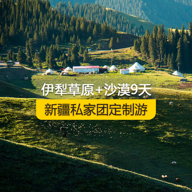 【新疆·北疆·私家团定制游·9天8晚】北疆伊犁草原沙漠纯玩9日游（景点包含：独山子大峡谷+赛里木湖+解忧公主薰衣草农场+那拉提空中草原+巴音布鲁克天鹅湖+独库公路+唐布拉百里画廊+天山天池+国际大巴扎+交河故城+吐峪沟+鄯善库木塔格沙漠+火焰山+坎儿井+吐鲁番葡萄沟）产品编号 : 11337