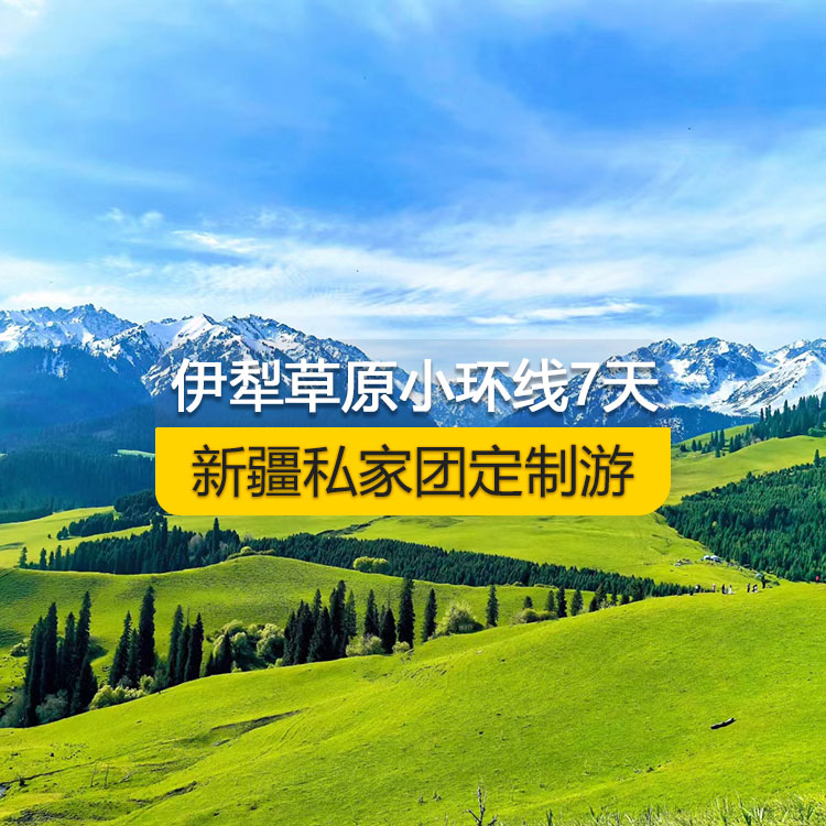 【新疆·北疆·私家团定制游·7天6晚】北疆伊犁草原小环线经典纯玩7日游(景点包含：独山子大峡谷+赛里木湖+解忧公主薰衣草农场+喀赞其民俗区+那拉提空中草原+巴音布鲁克天鹅湖+独库公路+唐布拉百里画廊+S101省道丹霞+国际大巴扎)产品编号 : 11335