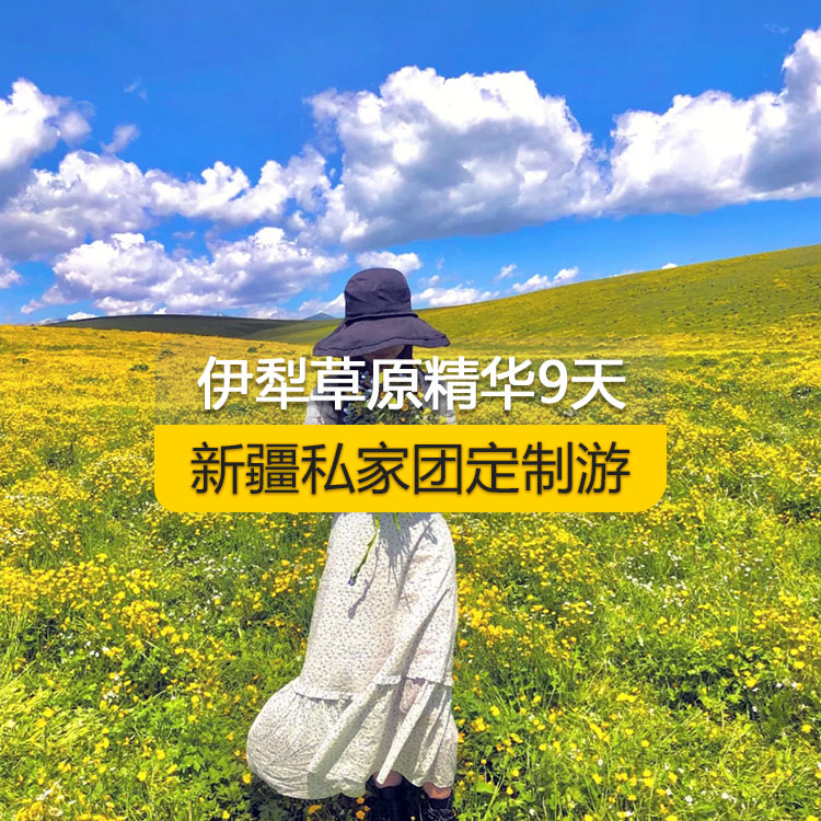 【新疆·北疆·私家团定制游·9天8晚】北疆伊犁精华纯玩9日游（景点包含：独山子大峡谷+赛里木湖+解忧公主薰衣草农场+喀赞其民俗区+伊昭公路+昭苏湿地公园+夏塔古道+喀拉峻+特克斯八卦城+那拉提空中草原+巴音布鲁克天鹅湖+独库公路+唐布拉百里画廊+S101省道+国际大巴扎）产品编号 : 11336