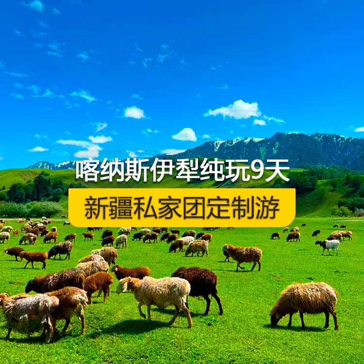 【新疆·北疆·私家团定制游·9天8晚】北疆喀纳斯伊犁纯玩9日游（景点包含：S21沙漠公路+五彩滩+喀纳斯+禾木村+乌尔禾魔鬼城+赛里木湖+果子沟（途观）+伊犁那拉提空中草原+巴音布鲁克草原+独库公路+唐布拉+独山子大峡谷+国际大巴扎）产品编号 : 11339