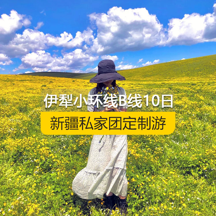 【新疆私家团定制游】北疆伊犁小环线纯玩B线10日游（乌鲁木齐起止）产品编号 : 11336