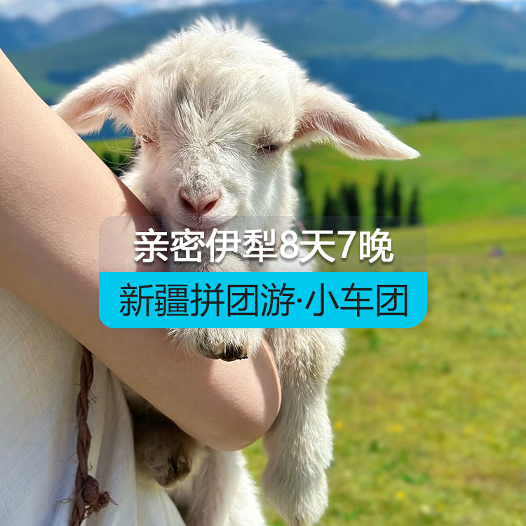 【新疆拼团游·小车团】臻享亲密伊犁8日（1~6人拼车小团/乌鲁木齐起止/24小时接送站/7座商务车/4钻酒店/高品质纯玩无购物）产品编号：11596