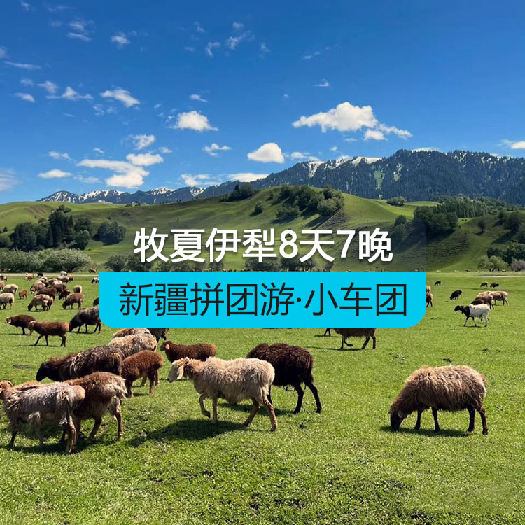 【新疆拼团游·小车团】悦享牧夏伊犁8日（1~6人拼车小团/乌鲁木齐起止/24小时接送站/7座商务车/4钻酒店/高品质纯玩无购物)）产品编号：11590