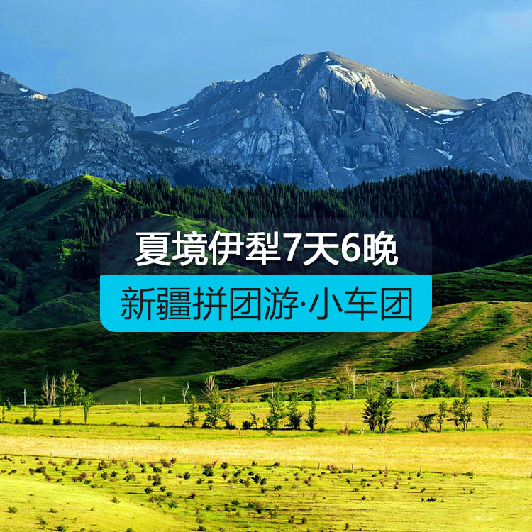 【新疆拼团游·小车团】悦享夏境伊犁7日（1~6人拼车小团/乌鲁木齐起止/24小时接送站/7座商务车/4钻酒店/高品质纯玩无购物）产品编号：11593