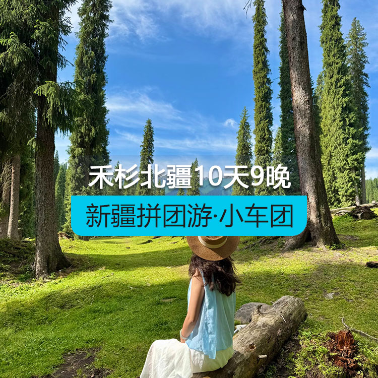 【新疆拼团游·小车团】悦享禾杉北疆10日（1~6人拼车小团/乌鲁木齐起止/24小时接送站/7座商务车/4钻酒店/高品质纯玩无购物）产品编号：11571