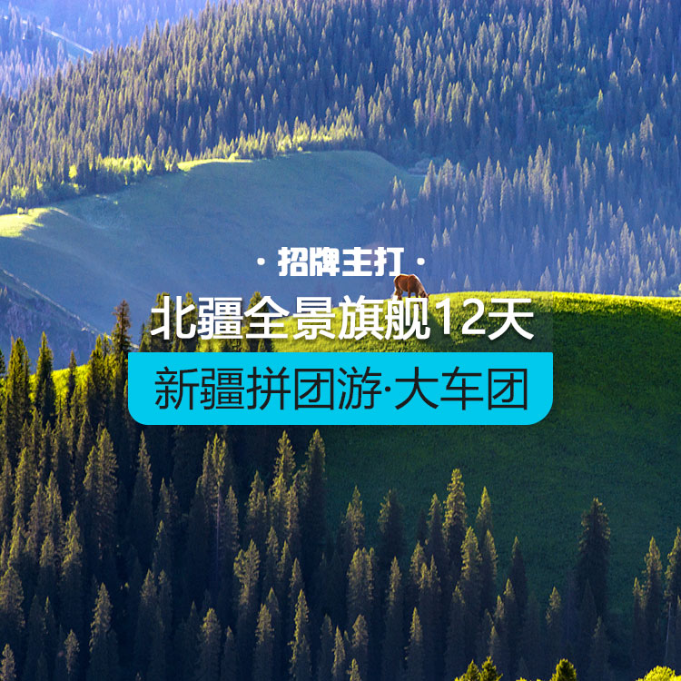 【新疆拼团游·大车团】招牌主打·北疆全景12日游（旗舰版/20人团/含导游/含13顿正餐/用2+1保姆车/全程7晚4钻酒店+3晚舒适性酒店+1晚禾木景区住宿/品质纯玩无购物） 产品编号：11586