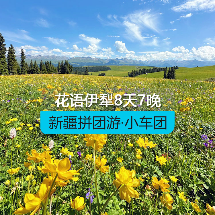 【新疆拼团游·小车团】轻享花语伊犁8日（乌市起止）