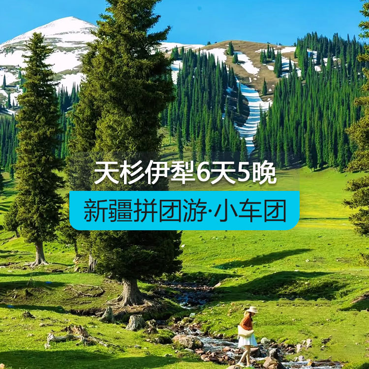 【新疆拼团游·小车团】轻享天杉伊犁6日 (1~6人拼车小团/乌起乌止/24小时接送站/7座商务车/4钻酒店/高品质纯玩无购物) 线路编号：11589