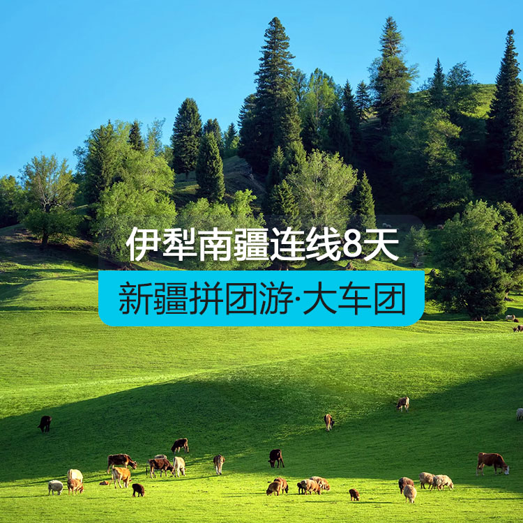 【新疆拼团游·大车团】伊犁南疆连线纯玩8日游（30人团/含导游/含4顿正餐/用空调旅游大巴车/全程5晚舒适性酒店+1晚5钻豪华型住宿/品质纯玩无购物） 线路编号：11603