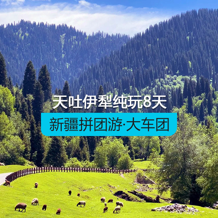 【新疆拼团游·大车团】天池吐鲁番伊犁连线8日游（30人团/含导游/含6顿正餐/用空调旅游大巴车/全程7晚舒适性酒店/品质纯玩无购物）线路编号：11602