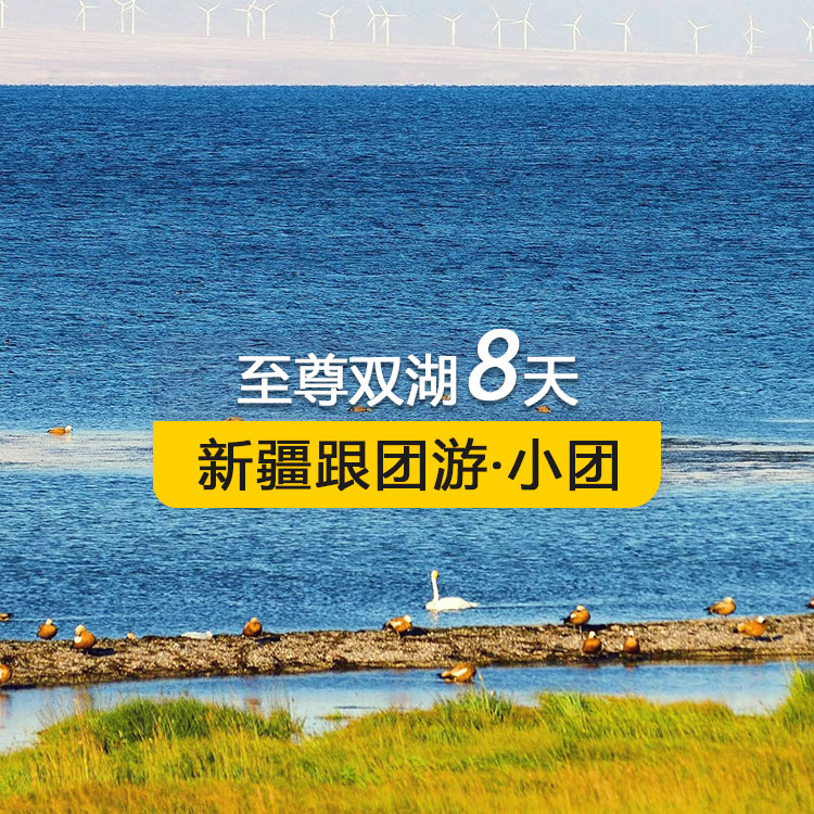 【新疆拼团游·小团】<至尊双湖>禾木村喀纳斯赛里木湖纯玩8日游[5S级优秀司机](1~6人拼车小团/乌鲁木齐起止/24小时接送站/7座1+1商务车/4钻酒店/高品质纯玩无购物）线路编号：11608
