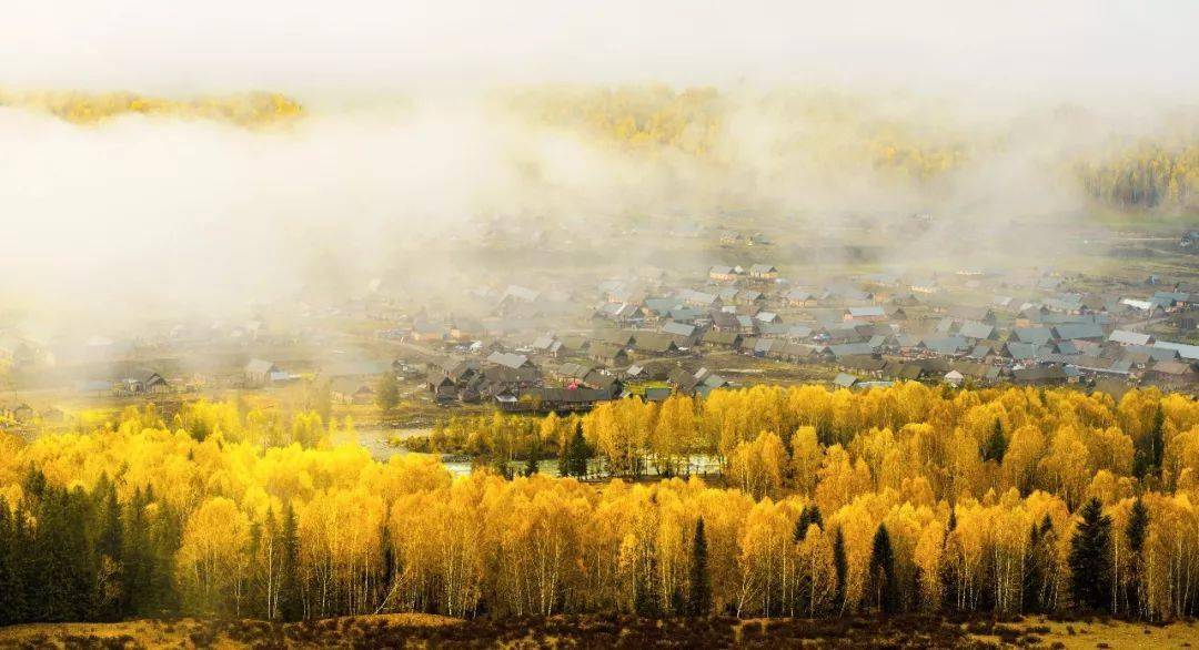 9月的新疆喀纳斯的秋色，即将惊艳全中国！